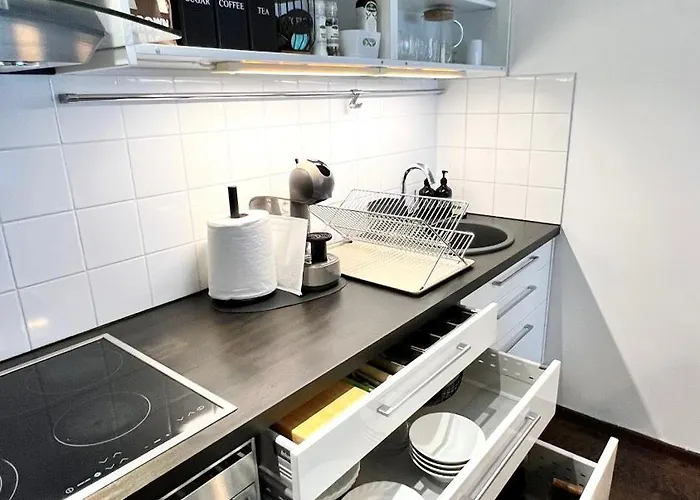 Butas Zygio Apartamentai Vilnius